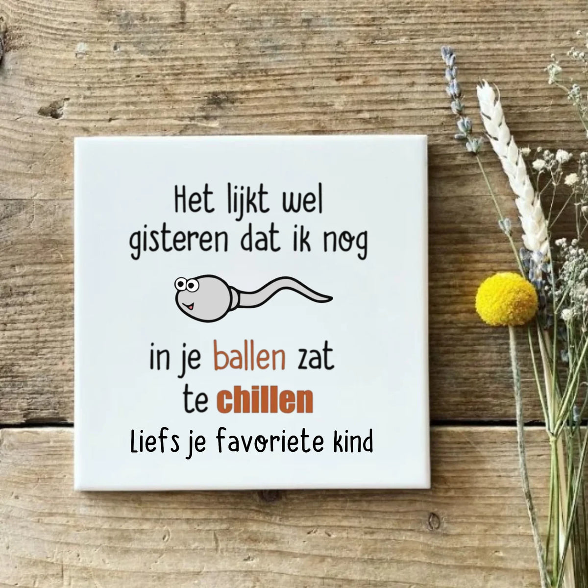 Het lijkt wel gisteren tegel met de tekst Het lijkt wel gisteren dat ik nog in je ballen zat te chillen, met zaadcel