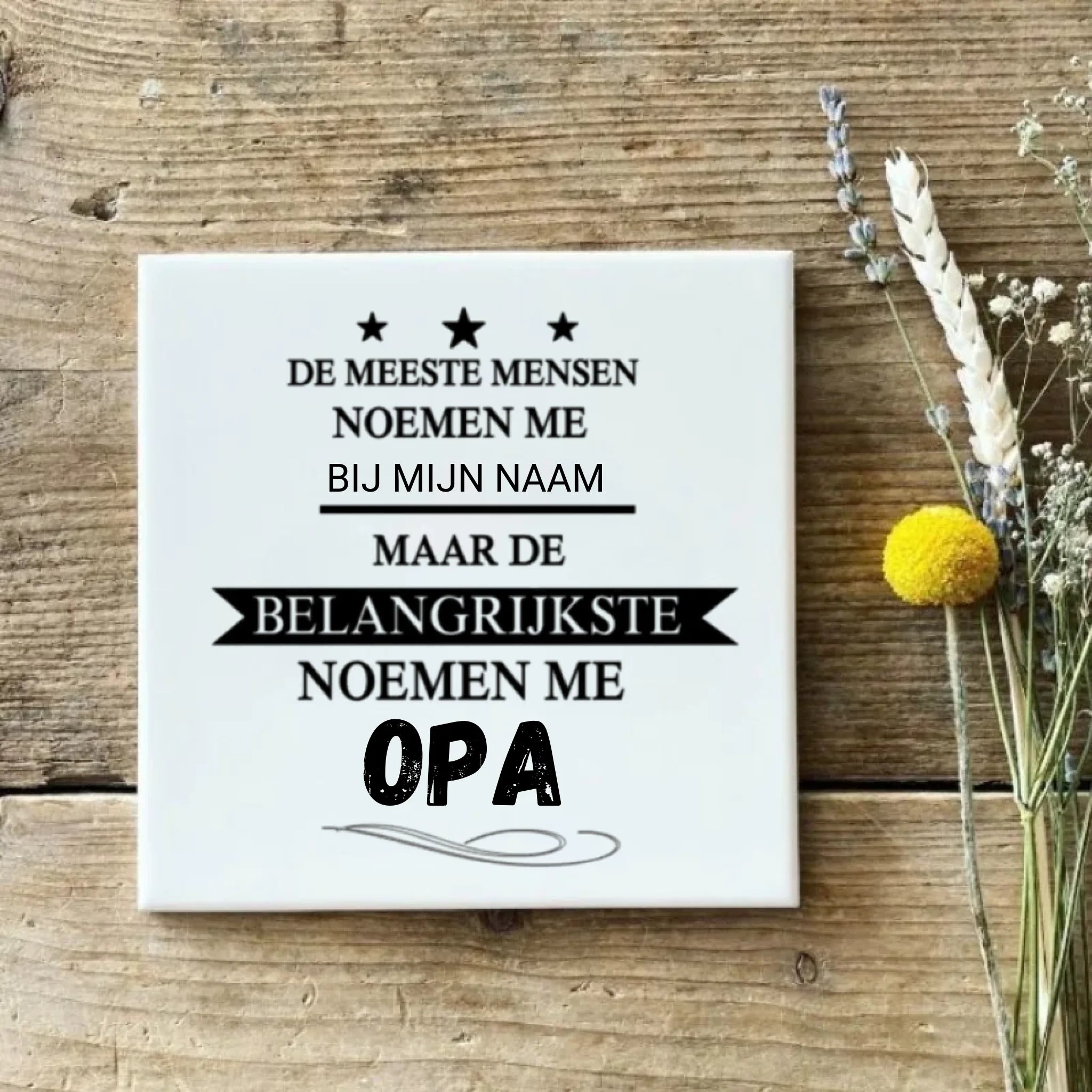 Ontwerp zonder titel